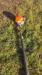 Podkrzesywarka, okrzesywarka Stihl FS 131