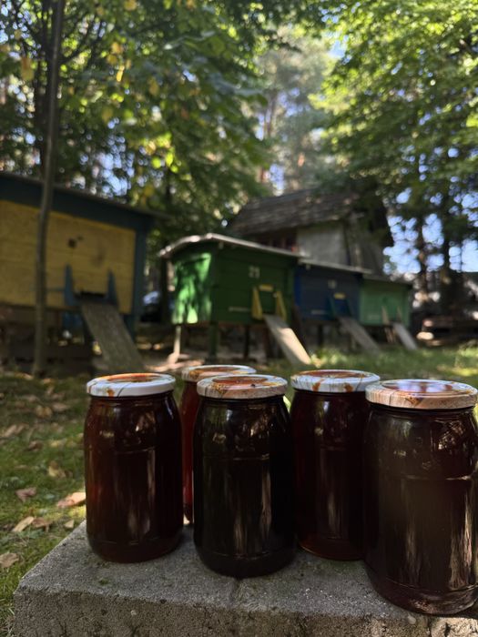 Sprzedam miód spadziowy