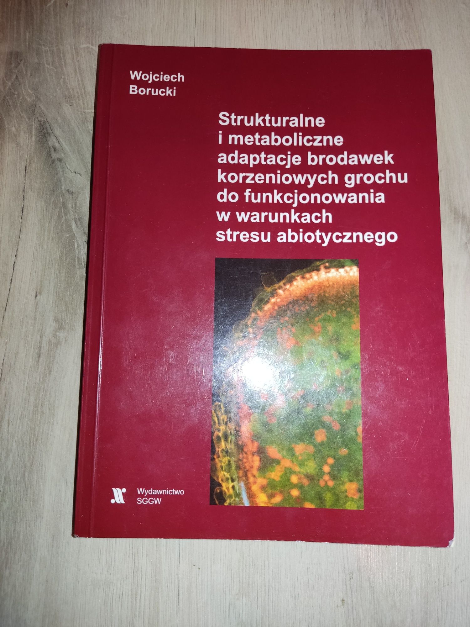 Strukturalne i metaboliczne adaptacje Borucki