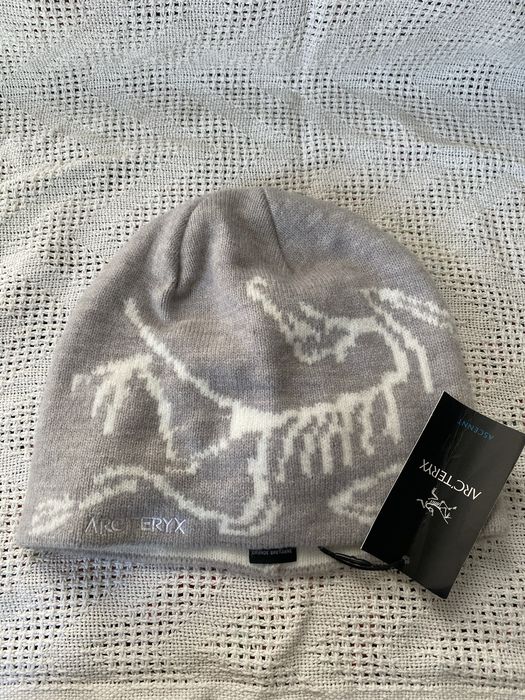 Шапка унісекс Arc'teryx Bird Head Solitude Toque Grey