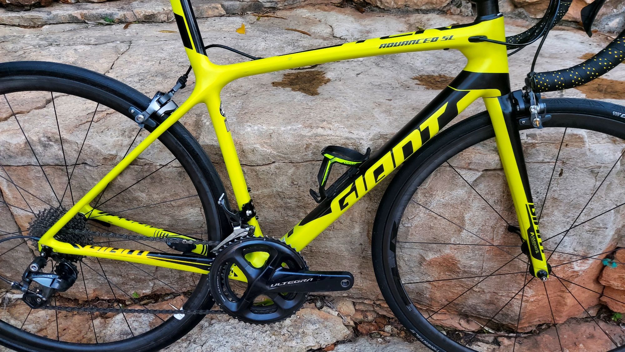 Giant TCR SL t52