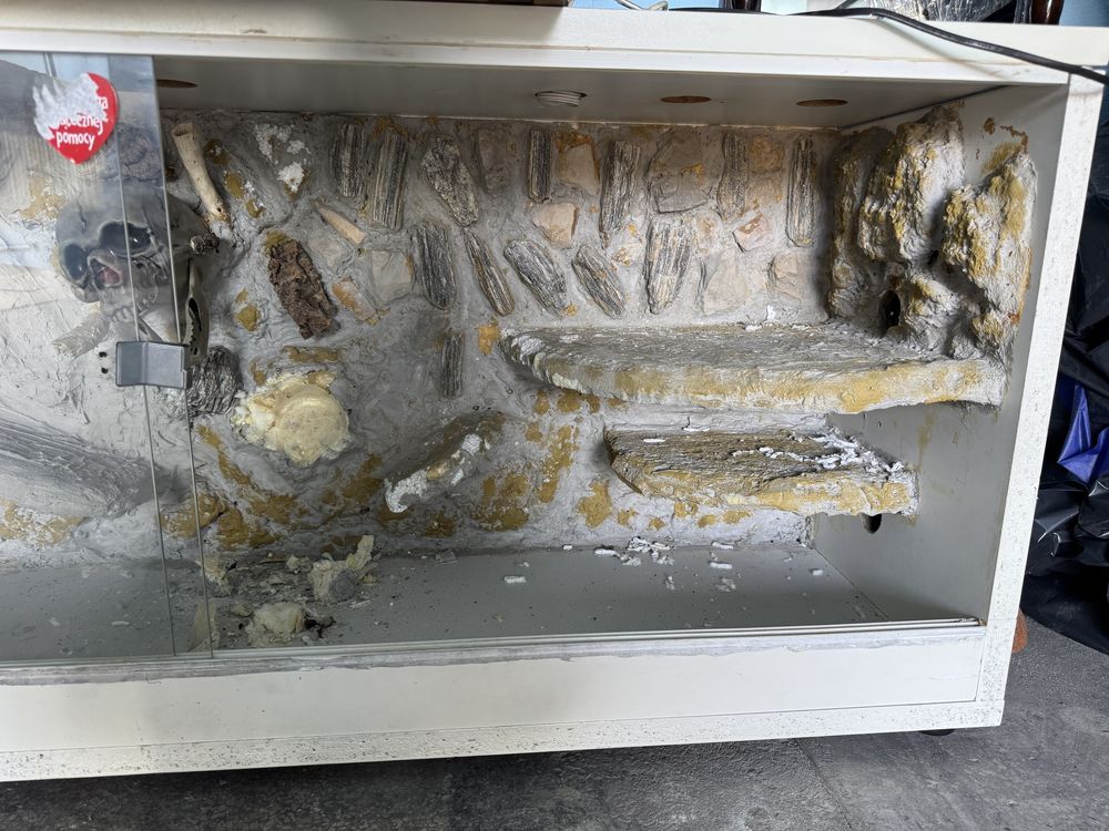 Terarium dla agamy/gekona