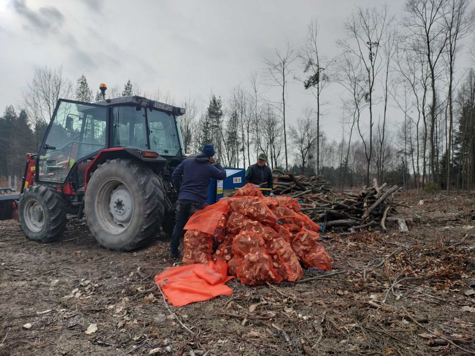 wycinka drzew, mulczer, zwyżka frezowanie pni