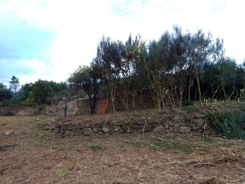 Quinta com casa para reconstrução