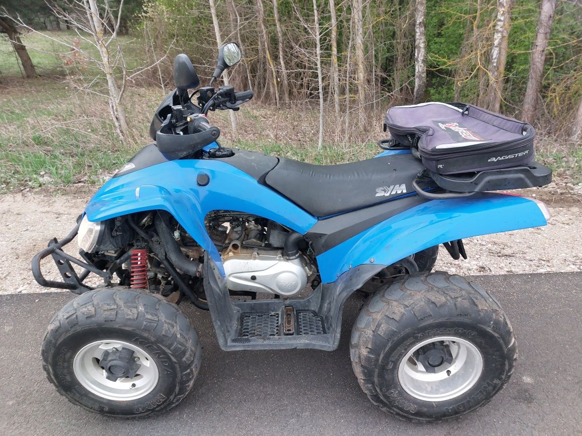 Quad SYM Track Runner 180.