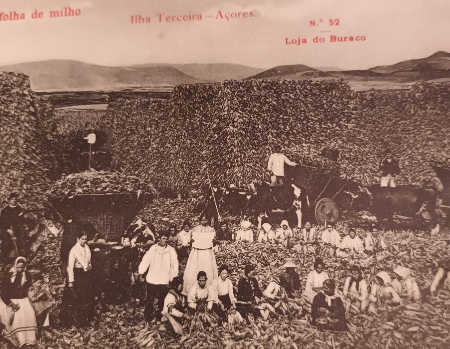 Bilhete Postal antigo