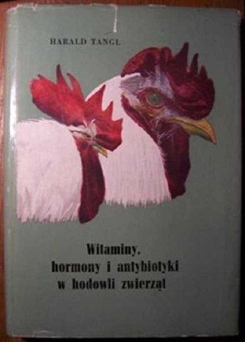 Witaminy hormony i antybiotyki w hodowli zwierząt