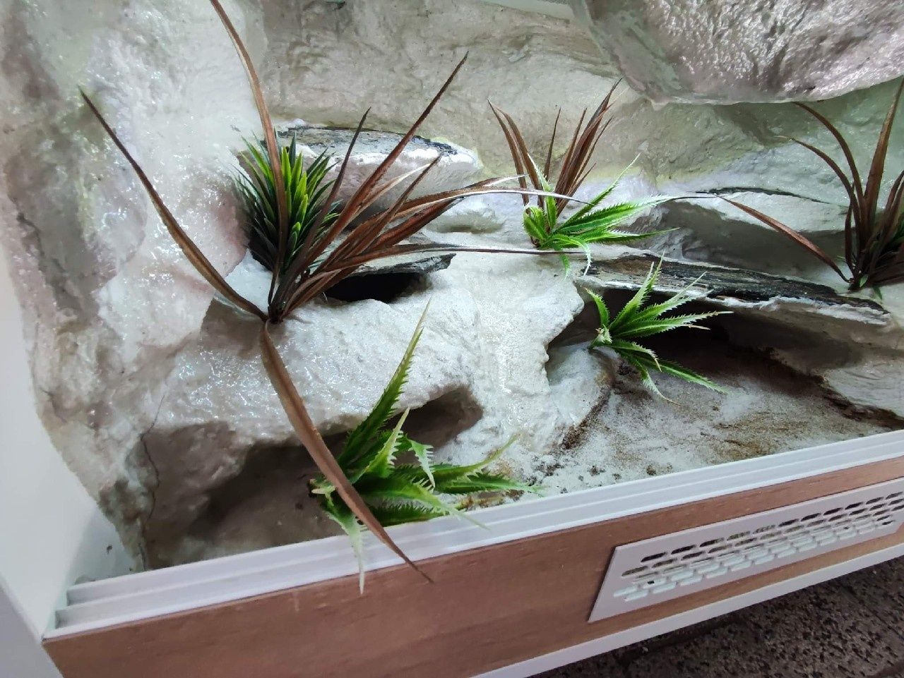 Terrarium gekon lamparci jaszczurka PETMARKET