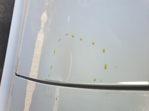 Porta trás direita MERCEDES-BENZ Classe E (W212)