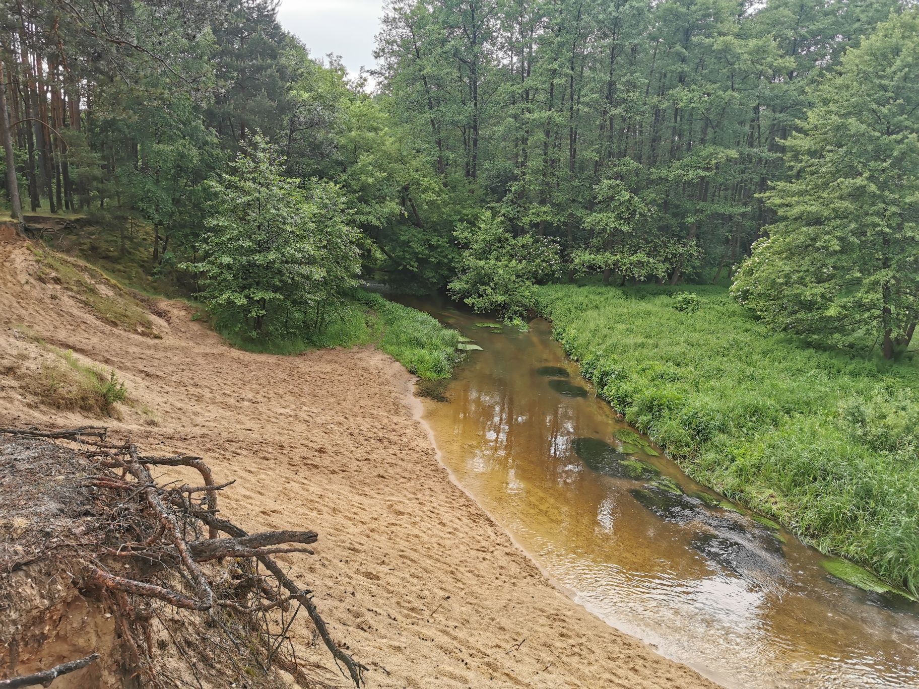 W Leśnym Zaciszu - Domek na Wynajem, Na brzegu Kocinki