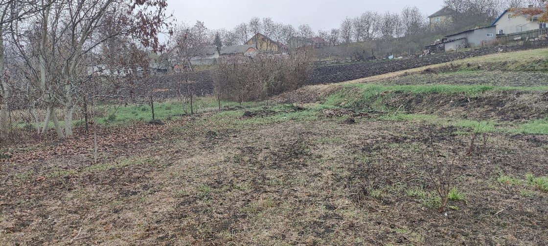 Зрубувування  складних Дерев очистка території