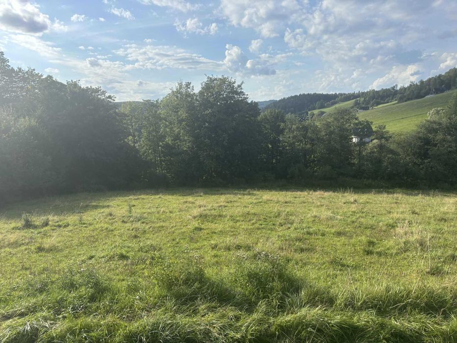Bieszczady Jezioro Solińskie Zawóz blisko wody - 923m/2