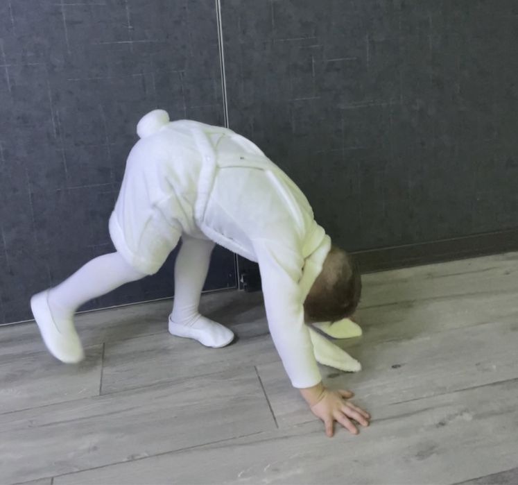 250 грн. Костюм зайчика, вовка на 2-3-4 р, оренда