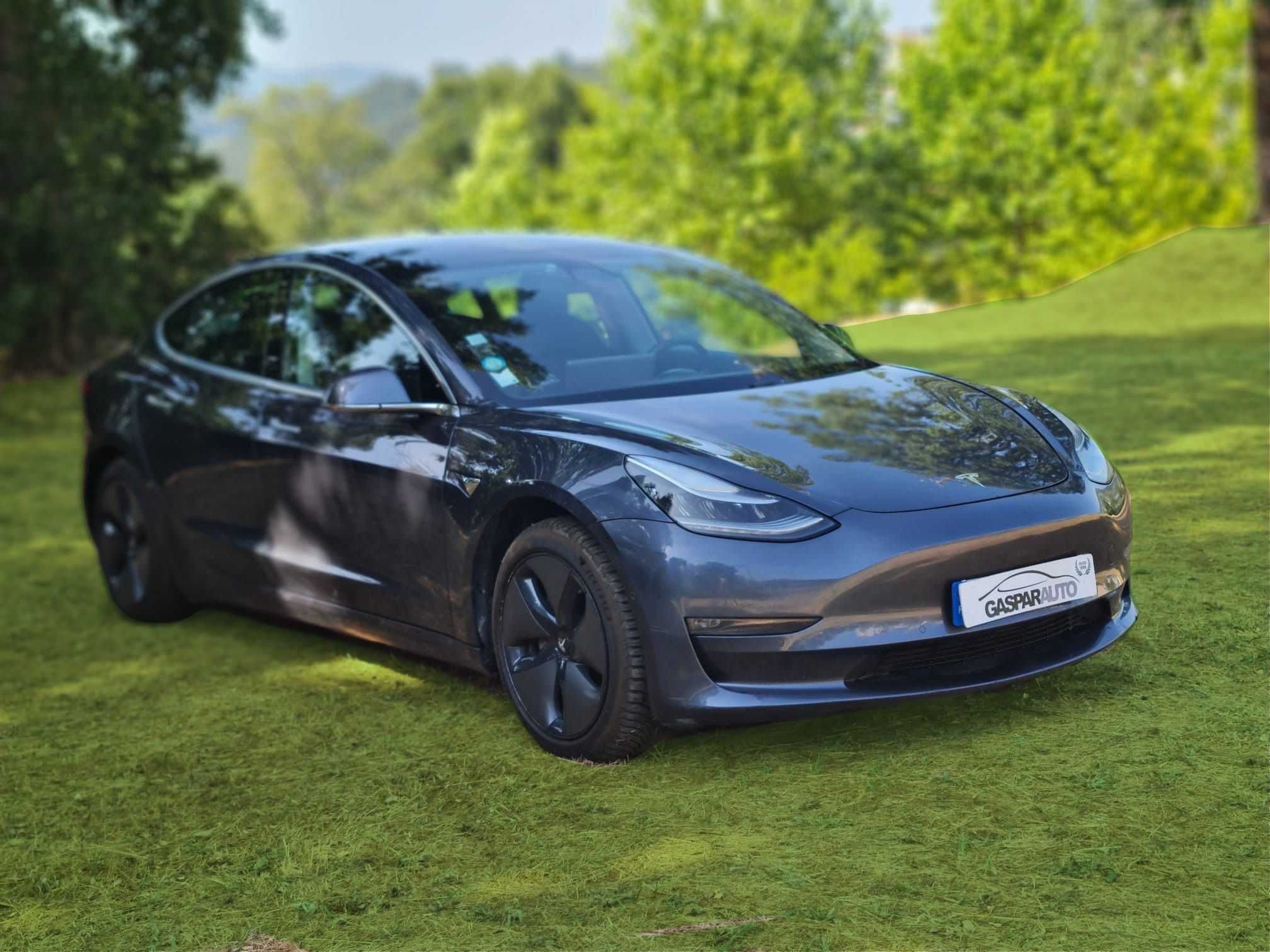 Tesla Model 3 Long-Range Dual Motor