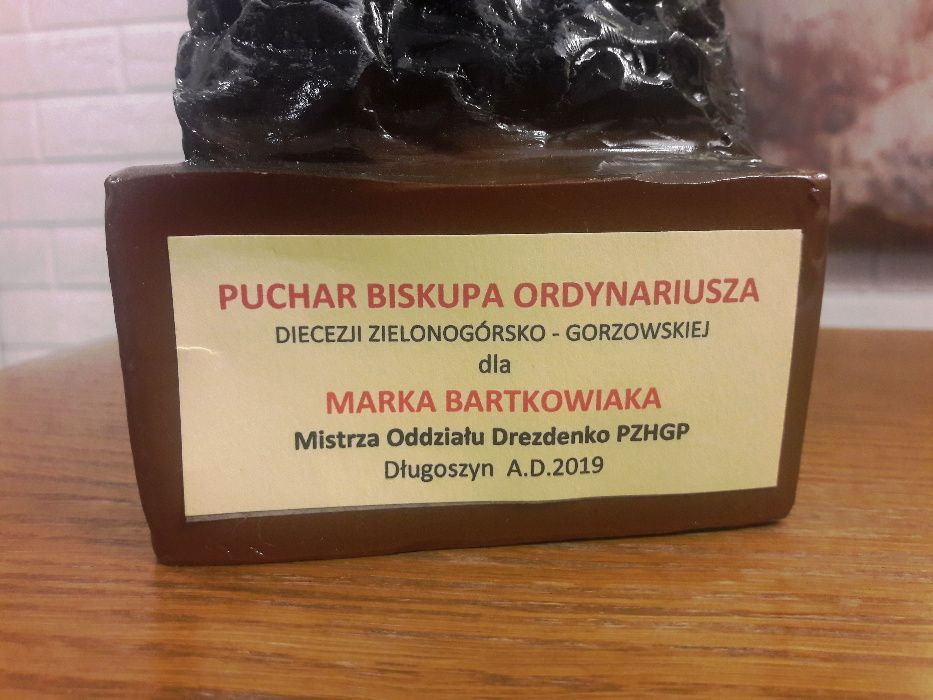 Gołębie Pocztowe rozpłodowe i lotowe  Wielokrotny Mistrz