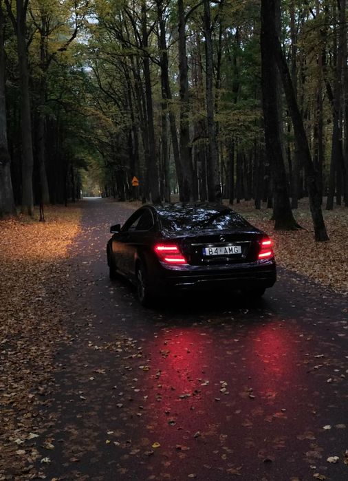 Mercedes-Benz Klasa C Mercedes-Benz C-Class Coupe W204 AMG Line 2.2 CDI Doinwestowany