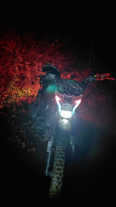 Мустанг регион 200