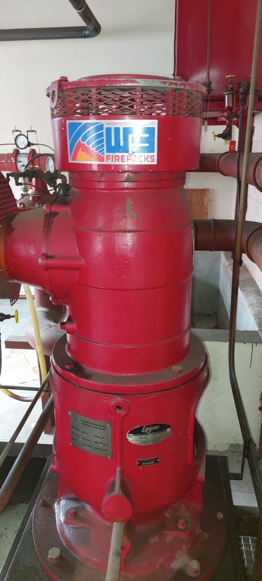 Motor industrial cummins