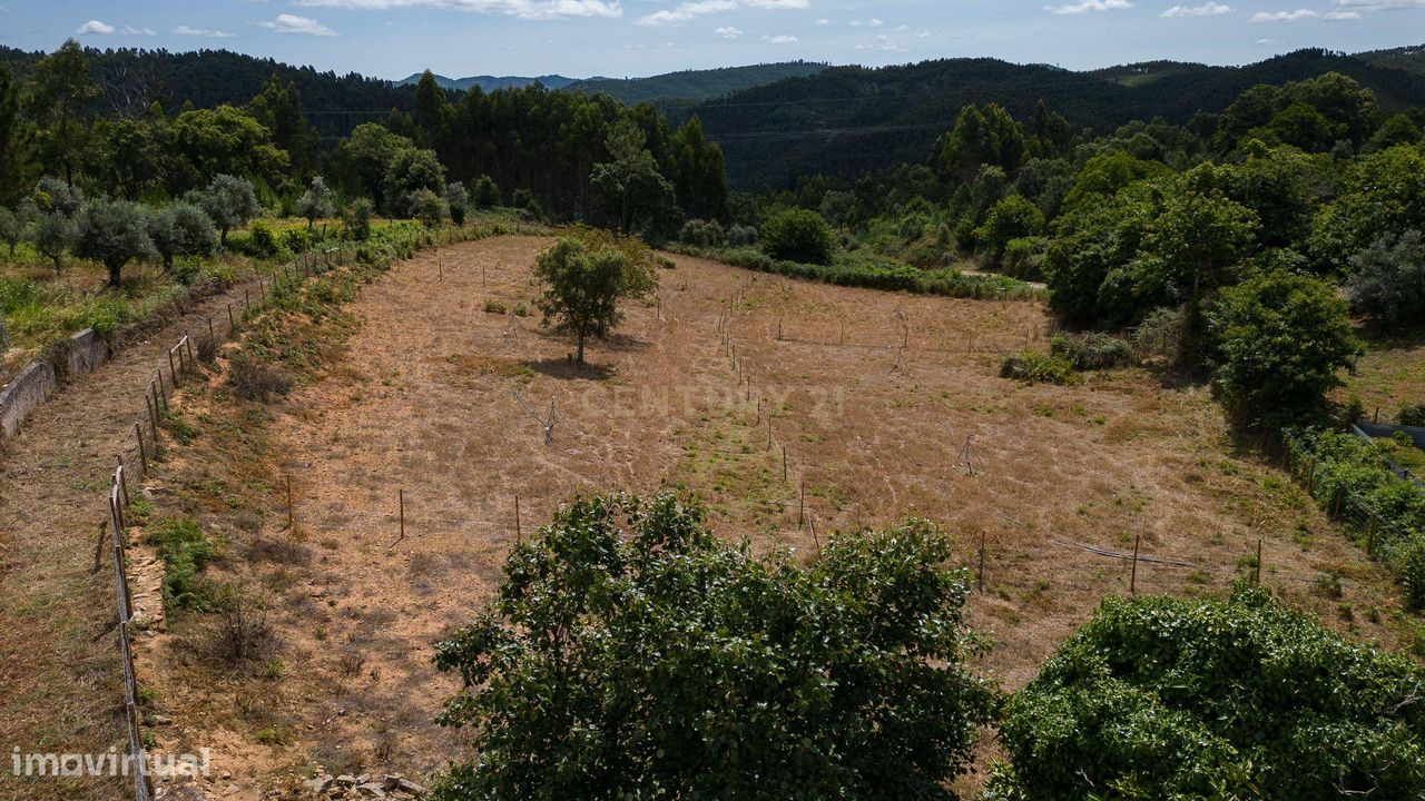 Quinta em Ferreira Zêzere