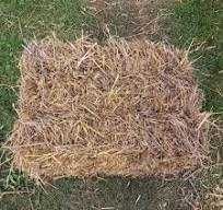 sprzedam siano, słomę w kostkach