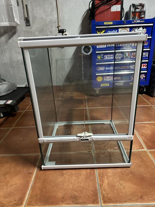 Terrário para repteis