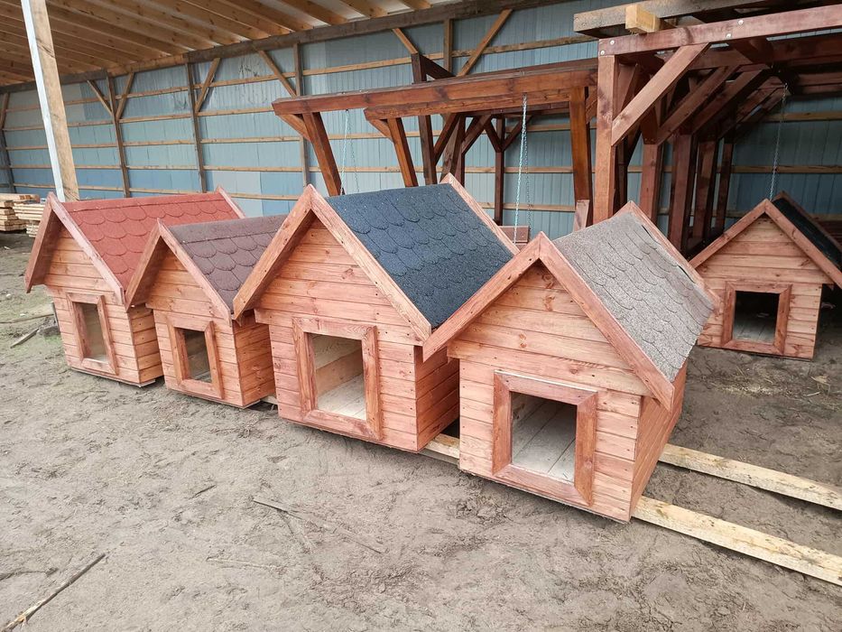 Sprzedam budy dla piesków innowacyjne i ładne