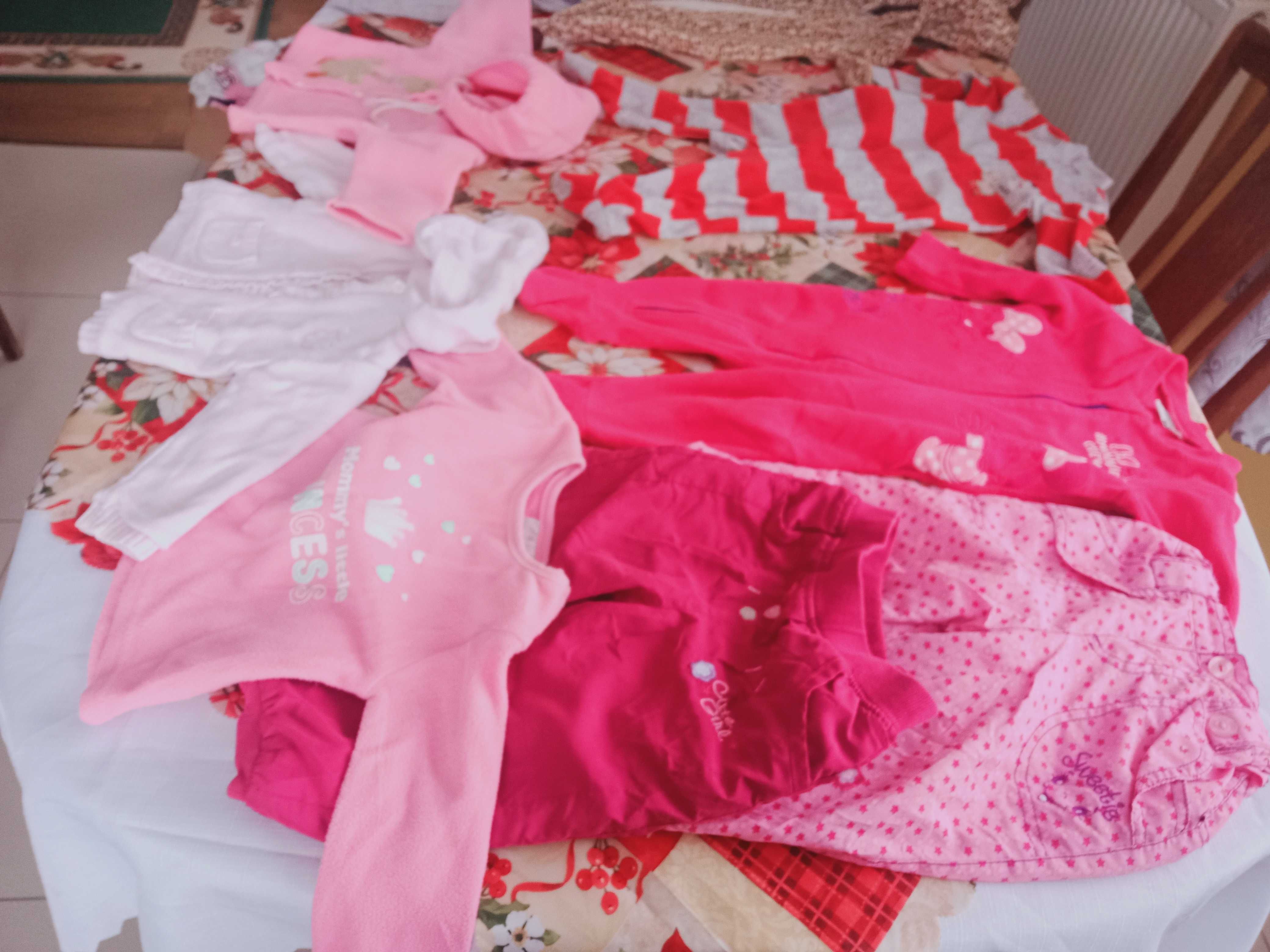 Pajacyki, bluzy i spodnie ocieplane dla dziewczynki r 74 -80 30 zł 9sz