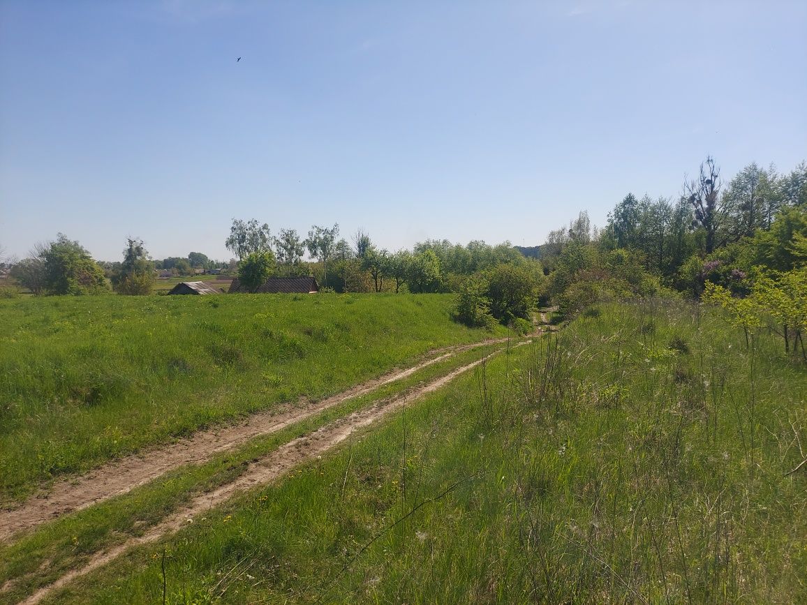 Продаж ділянки 50 соток с.Млинище (26144870)