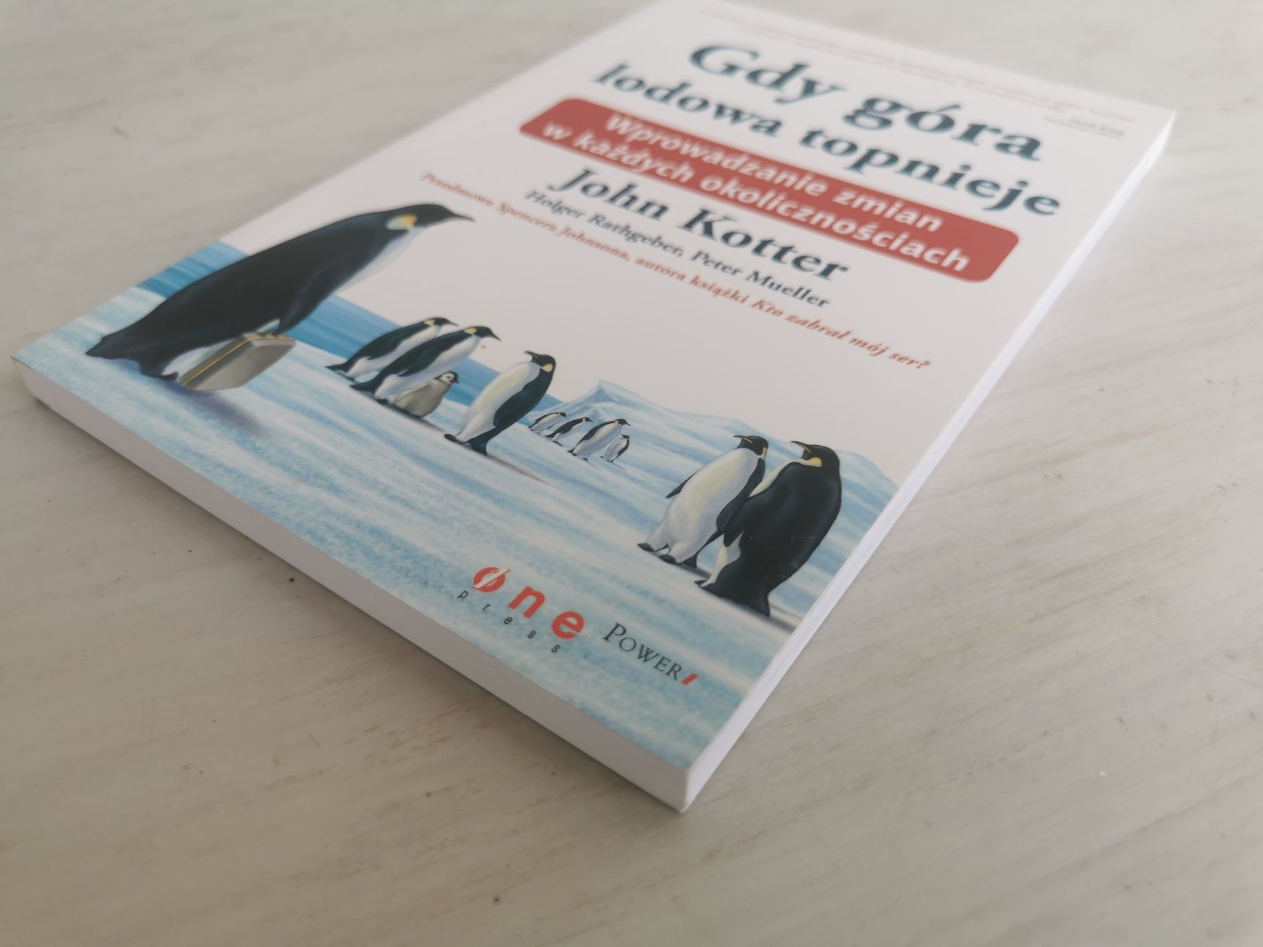 Gdy góra lodowa topnieje John Kotter