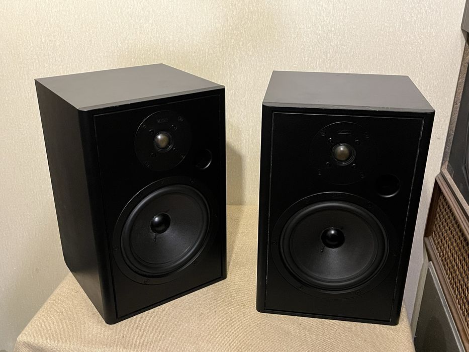 Качественная музыкальная акустика CANTON FONUM 301 (90Вт)