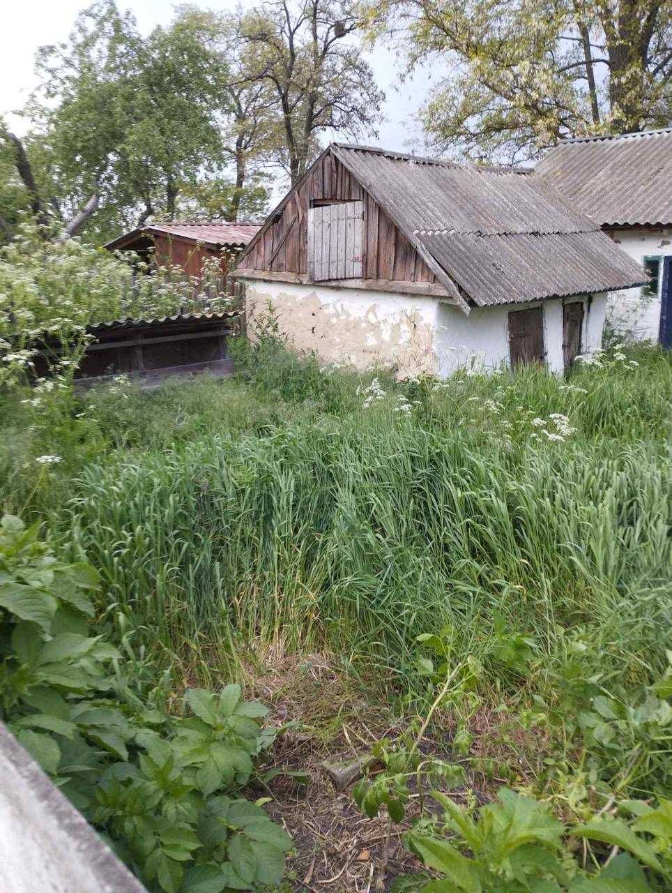 Продам будинок в Переяслав-Хмельницькому р-ні Київської обл. ТОРГ