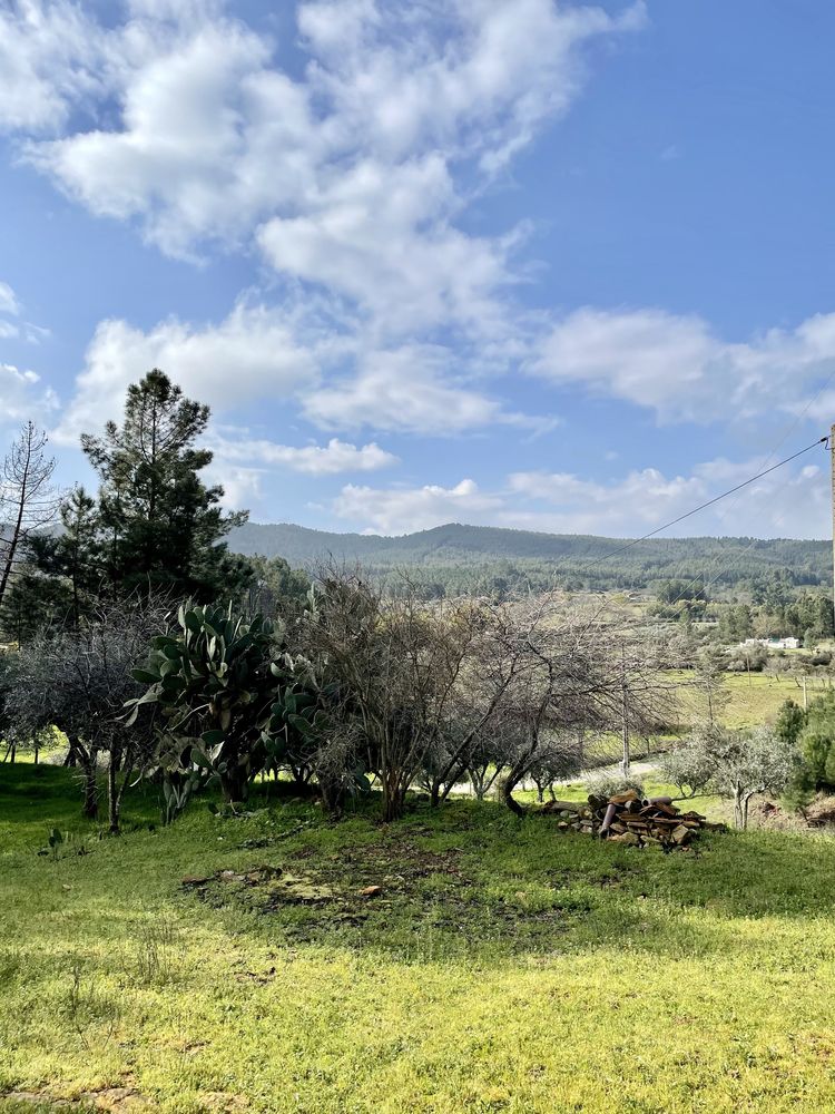 Quinta fundao 21 hectares