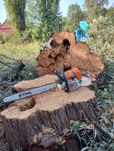 Wycinka i Pielęgnacja drzew. Podnośnik Koszowy! Rębak. Frezowanie pni!