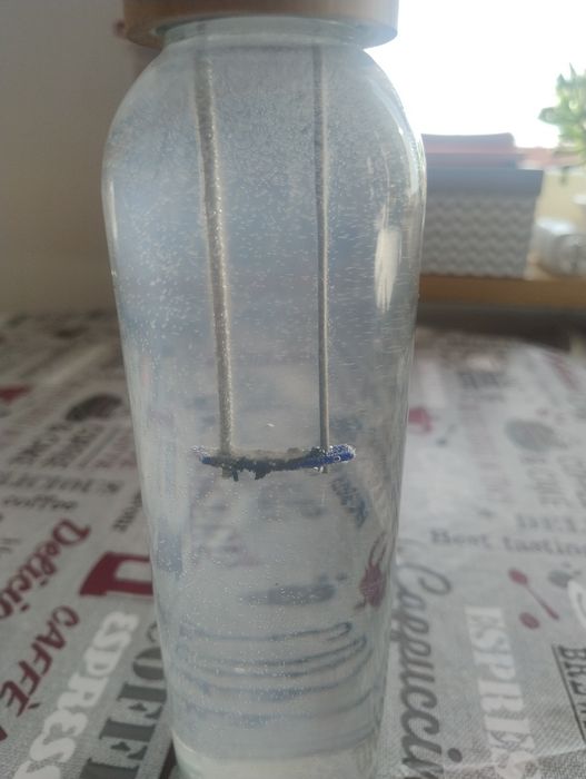 Srebrna woda. Srebro koloidalne. Generator