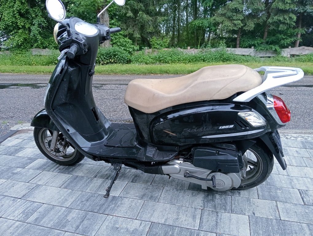 Sym fiddle 125 cm