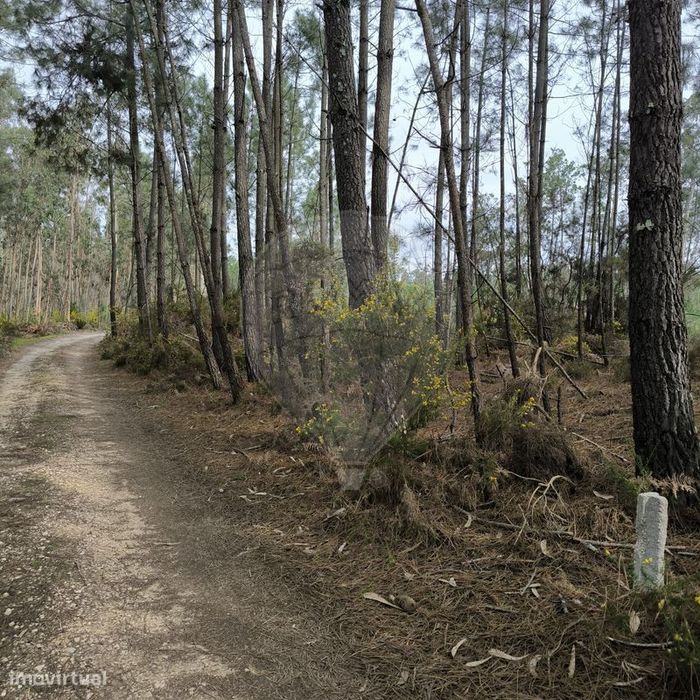 Terreno  para venda