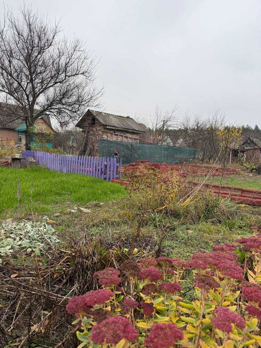 Продаж дачі в с. Березанка, садове товариство “Полісянка”!