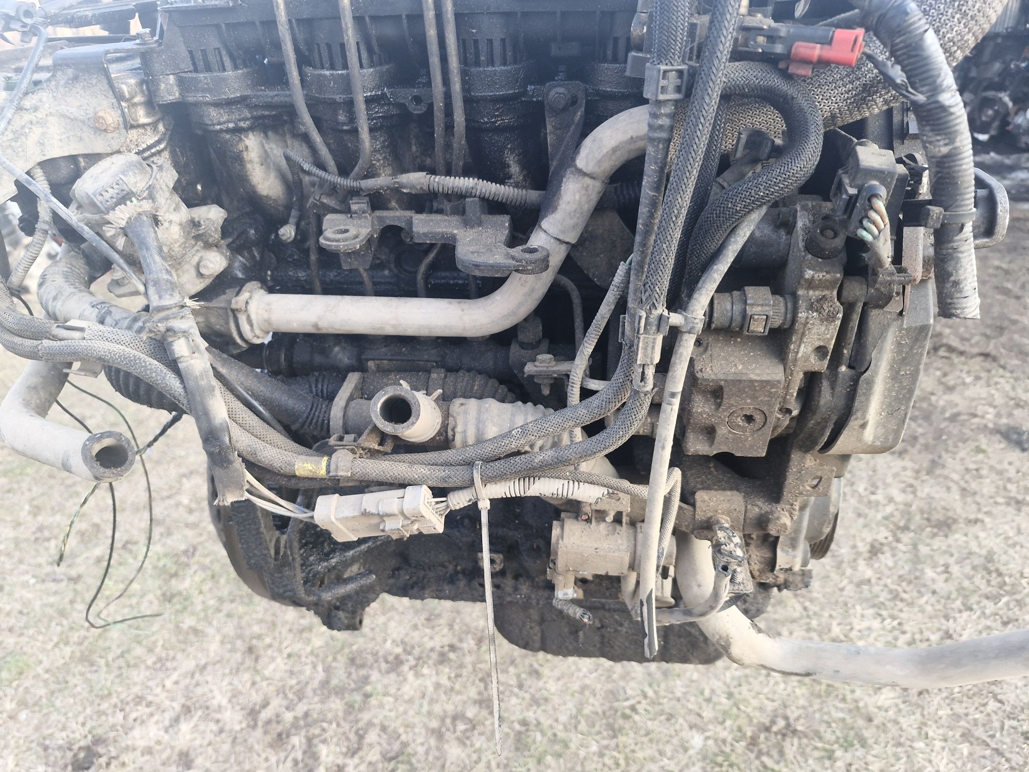 Silnik 1.6 tdci gbda