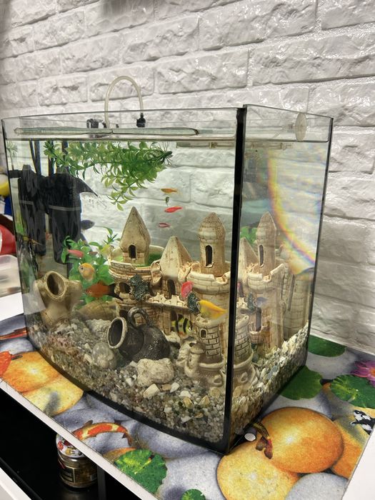 Акваріум без кришки