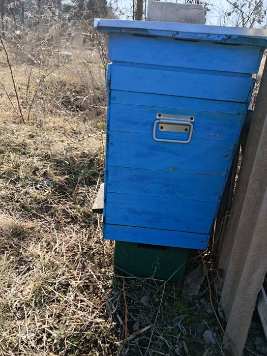 Вулики без бджіл