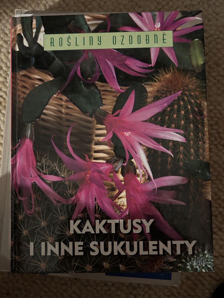 Kaktusy i inne sukulenty