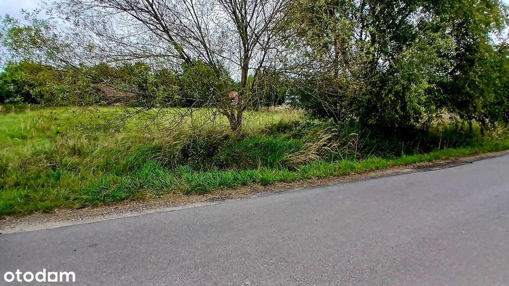 Brzezina dz.1754 mkw warunki zab.woda kanalizacja 459 tys.Bezpośrednio