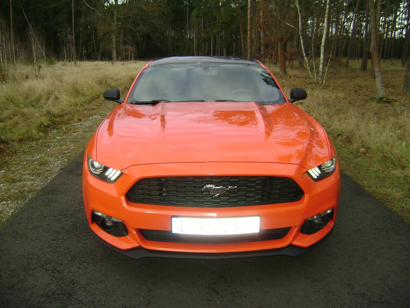 Ford Mustang Sprzedam Ford Mustang