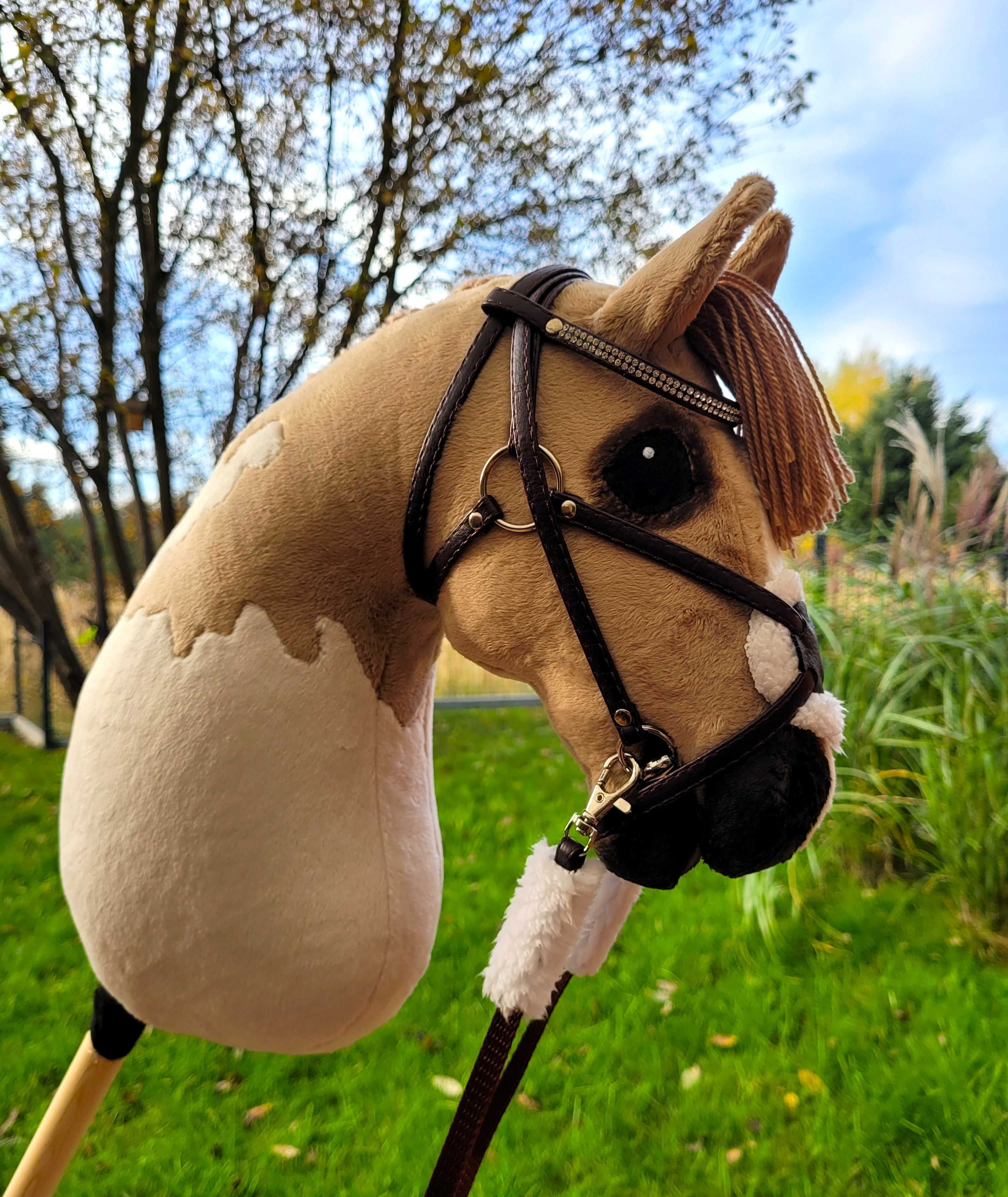 Hobby Horse, Konik na kiju, A3, do ujeżdżenia #167