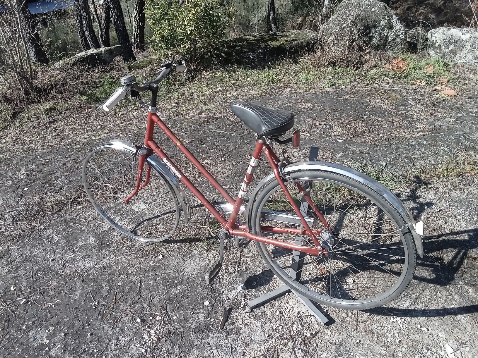 Bicicleta antiga