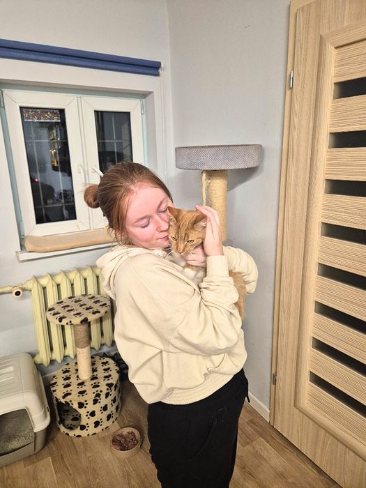 Kot, kotek, kocurek Monin