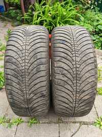 Всесезонні шини Vector Four Seasons" Good Year 205/60 R15