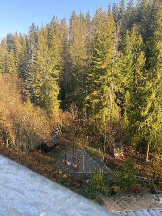 Оренда будинків A-frame в Карпатах- "Лісовий Трикутник", Чан, Микуличи