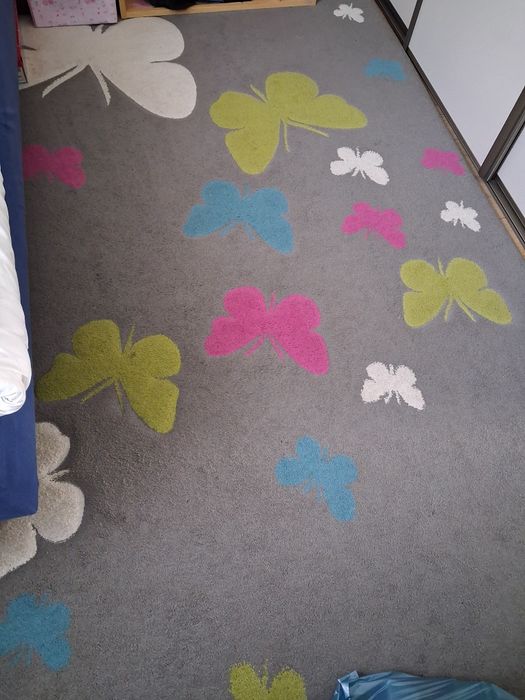 Dywan w motyle 230×160