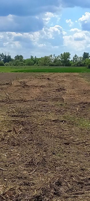 Mulczer, Karczowanie zarośli, czyszczenie działek WYCENA GRATIS !!!